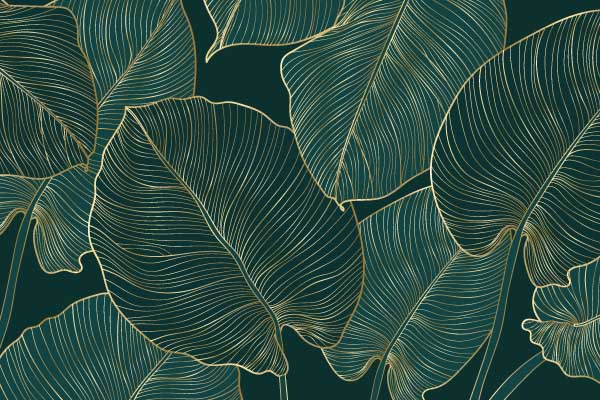 Immagine di foglie di filodendro